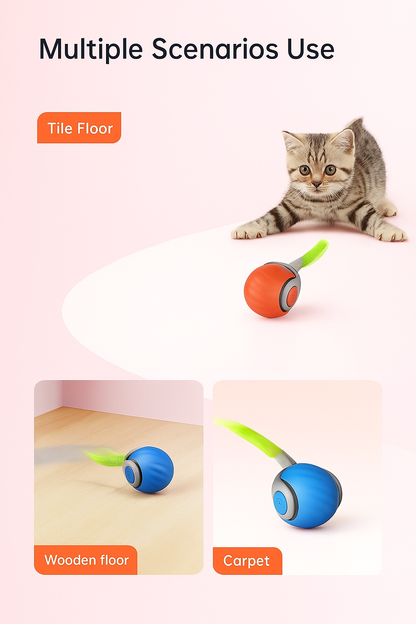 CatChase Pro™