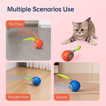CatChase Pro™